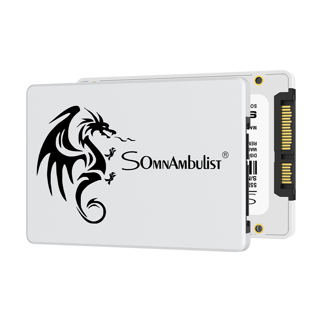 SomnAmbulist SSD 2.5 64GB 128G - Samsung Ssd 980 Pro avis et prix